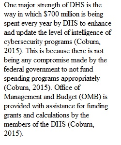 Module 4 Discussion 1 Department of Homeland Security Cybersecurity Organization